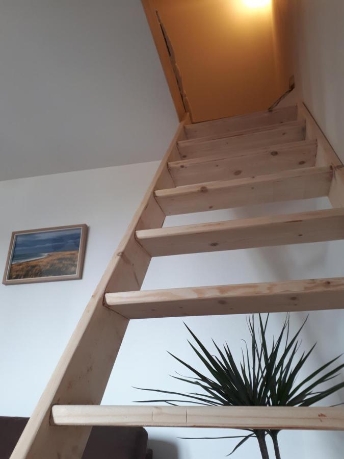 Surf Hostel Quiberon, L'Oyat Saint-Pierre-Quiberon Exterior foto